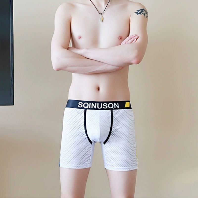 Boxer da Uomo in Seta Ghiaccio - Long Leg Trunk Men recensione e prezzo